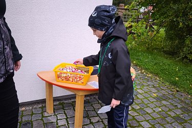 Obrázek č.15